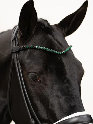 Naczółek sycamore green equestrian stockholm  (1).webp