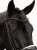 Naczółek sycamore green equestrian stockholm  (1).webp