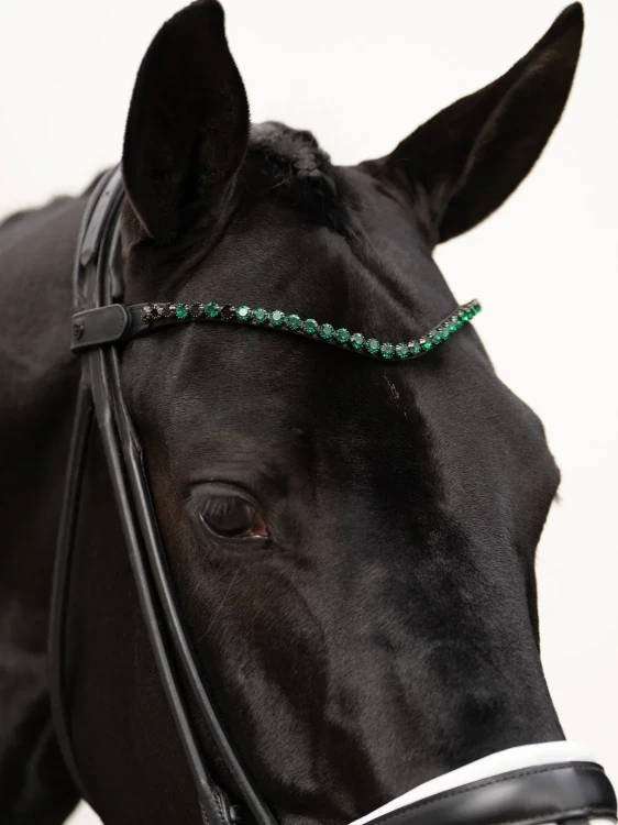 Naczółek sycamore green equestrian stockholm  (1).webp