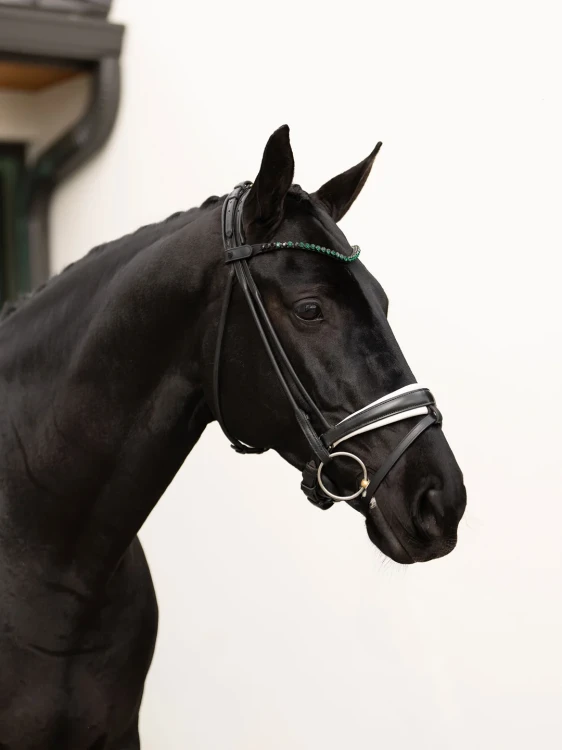 Naczółek sycamore green equestrian stockholm  (2).webp