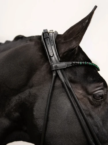 Naczółek sycamore green equestrian stockholm  (7).webp