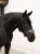 Naczółek sycamore green equestrian stockholm  (8).webp