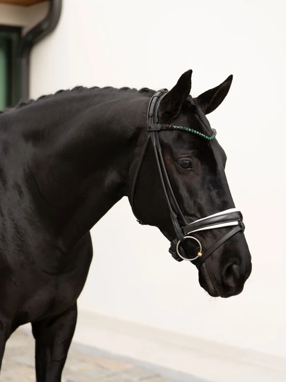 Naczółek sycamore green equestrian stockholm  (8).webp