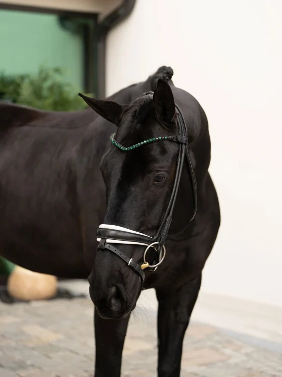 Naczółek sycamore green equestrian stockholm  (9).webp