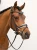 naczółek blue meadow equestrian stockholm  (6).webp