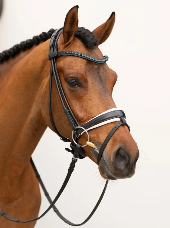 naczółek blue meadow equestrian stockholm  (6).webp