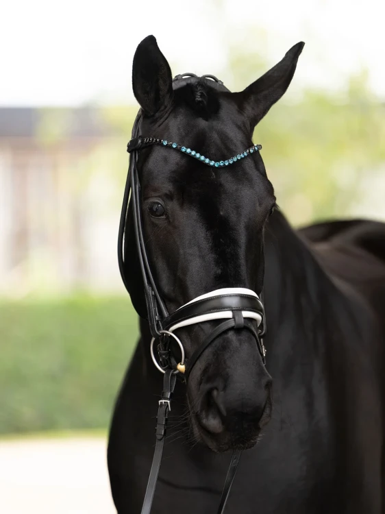 naczółek blue meadow equestrian stockholm  (3).webp