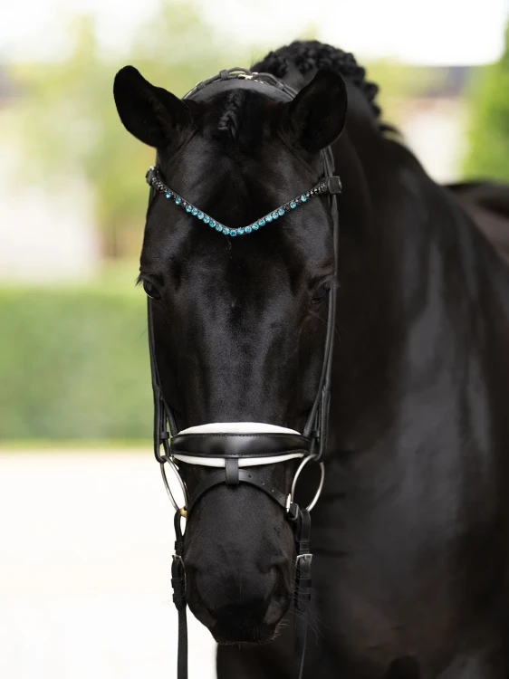 naczółek blue meadow equestrian stockholm  (4).webp