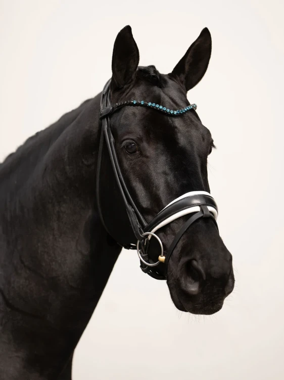 naczółek blue meadow equestrian stockholm  (5).webp