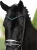 naczółek blue meadow equestrian stockholm  (10).webp