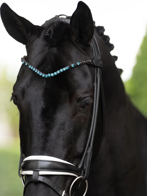 naczółek blue meadow equestrian stockholm  (10).webp