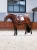 czaprak biały kryształki skokowy equestrian stockholm  (3).webp