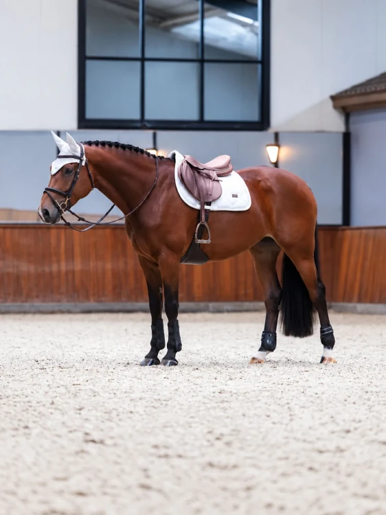 czaprak biały kryształki skokowy equestrian stockholm  (3).webp