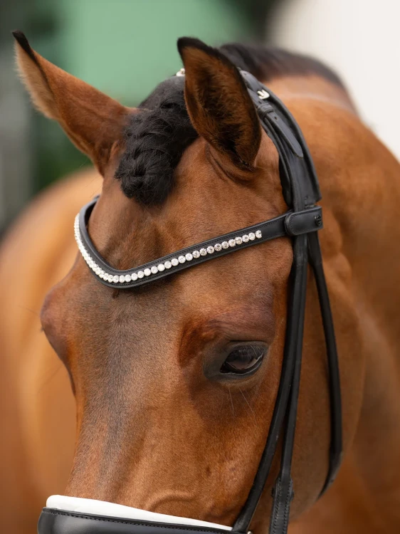 naczółek kryształki białe equestrian stockholm  (1).webp