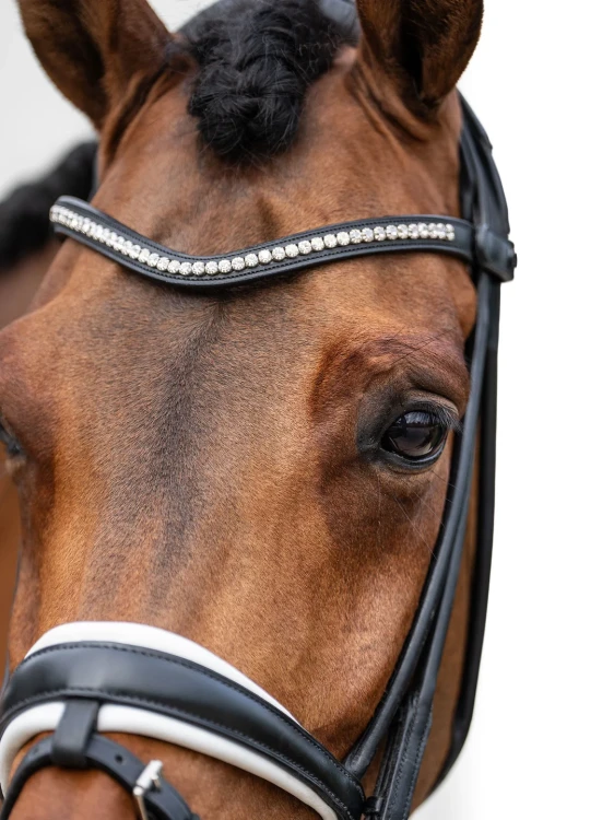 naczółek kryształki białe equestrian stockholm  (6).webp