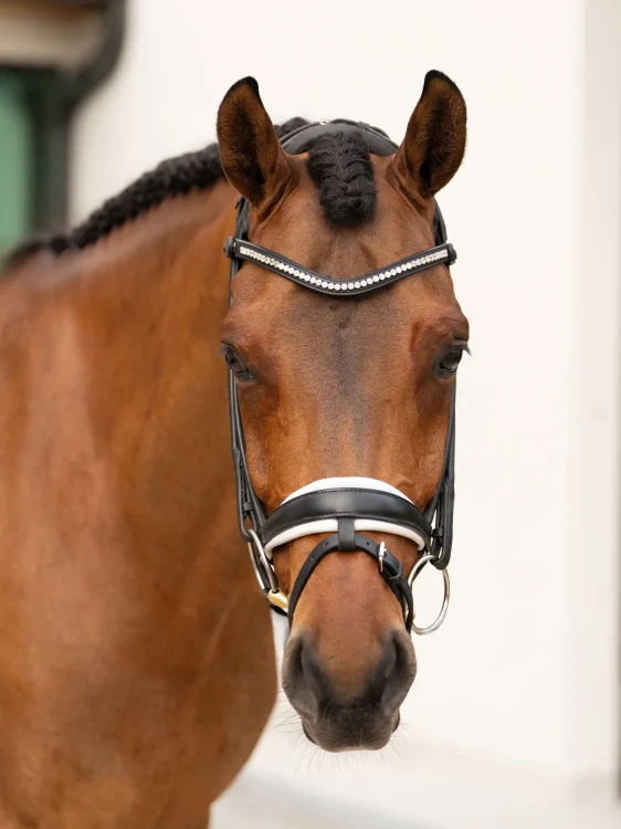 naczółek kryształki białe equestrian stockholm  (7).webp