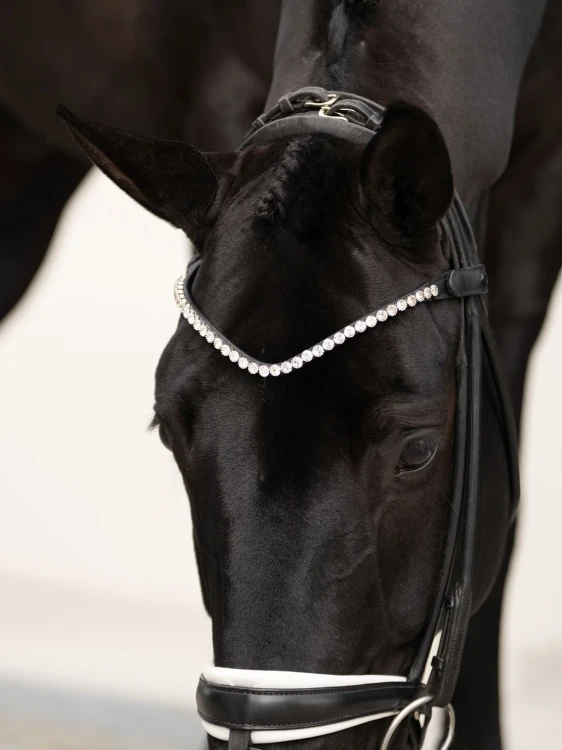 naczółek kryształki białe equestrian stockholm  (7).webp