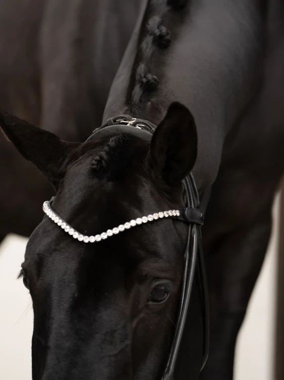 naczółek kryształki białe equestrian stockholm  (8).webp