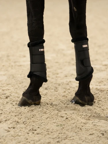 ochraniacze czarne equestrian stockholm  (2).webp
