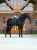 ochraniacze czarne equestrian stockholm  (5).webp
