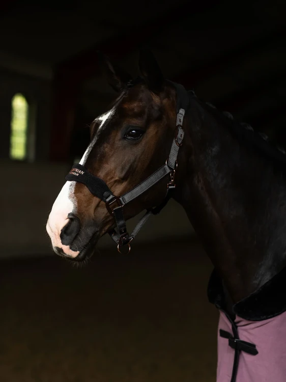 kantar anatomiczny czarny equestrian stockholm  (2).webp