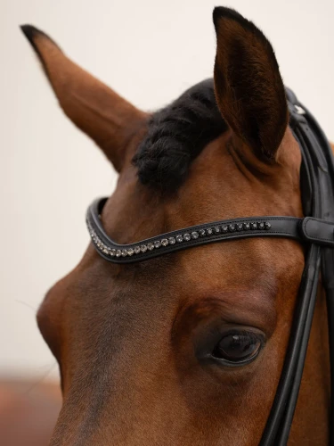 naczółek czarne kryształki equestrian stockholm  (1).webp