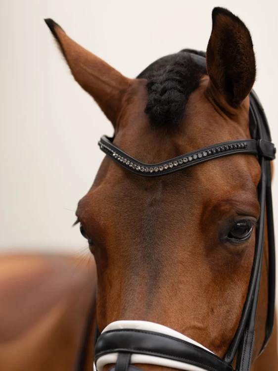 naczółek czarne kryształki equestrian stockholm  (8).webp