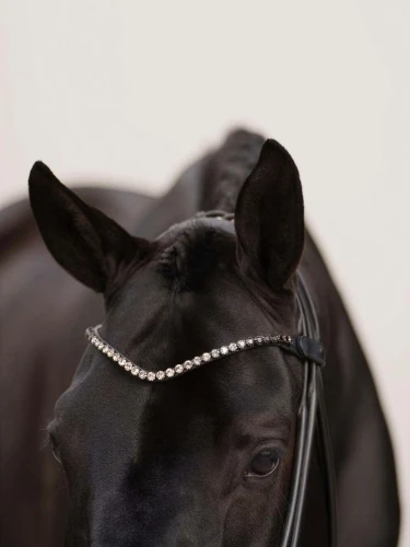 naczółek czarny equestrian stockholm  (2).webp