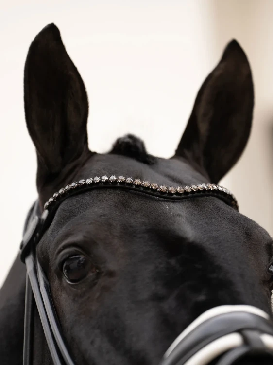 naczółek czarny equestrian stockholm  (3).webp