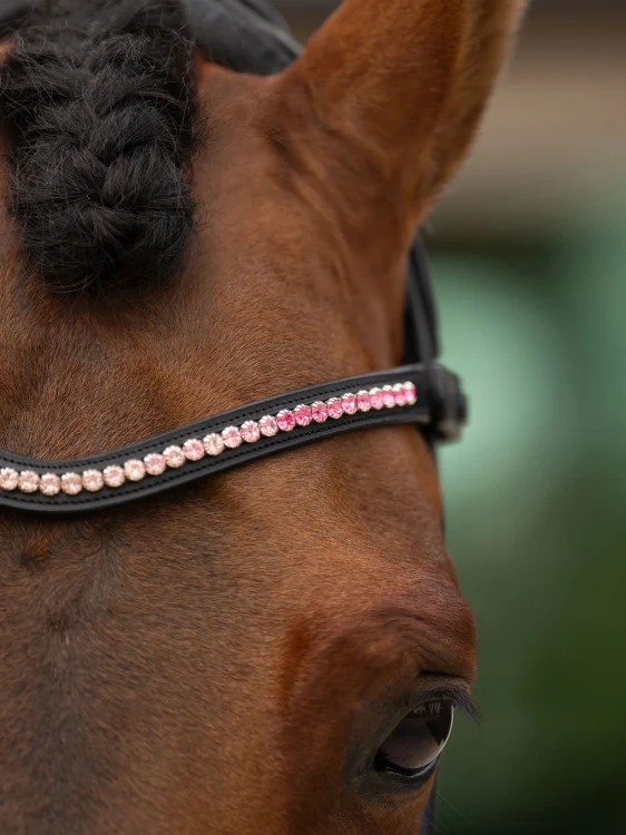 naczółek różowy kryształki equestrian stockholm  (1).webp