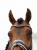 naczółek różowy kryształki equestrian stockholm  (2).webp