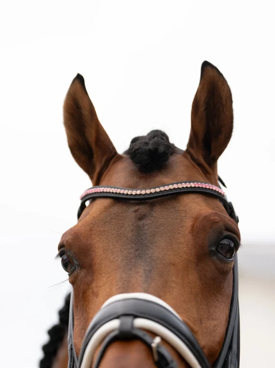 naczółek różowy kryształki equestrian stockholm  (2).webp