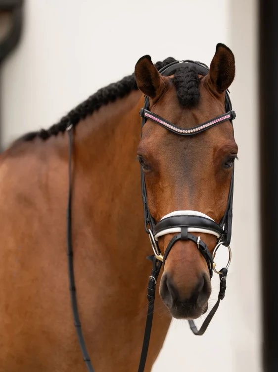 naczółek różowy kryształki equestrian stockholm  (3).webp