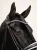 naczółek różowy kryształy equestrian stockholm  (6).webp