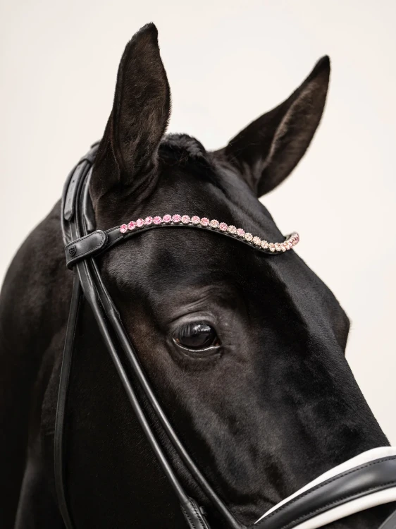 naczółek różowy kryształy equestrian stockholm  (6).webp