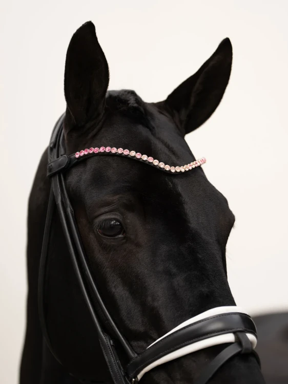 naczółek różowy kryształy equestrian stockholm  (7).webp