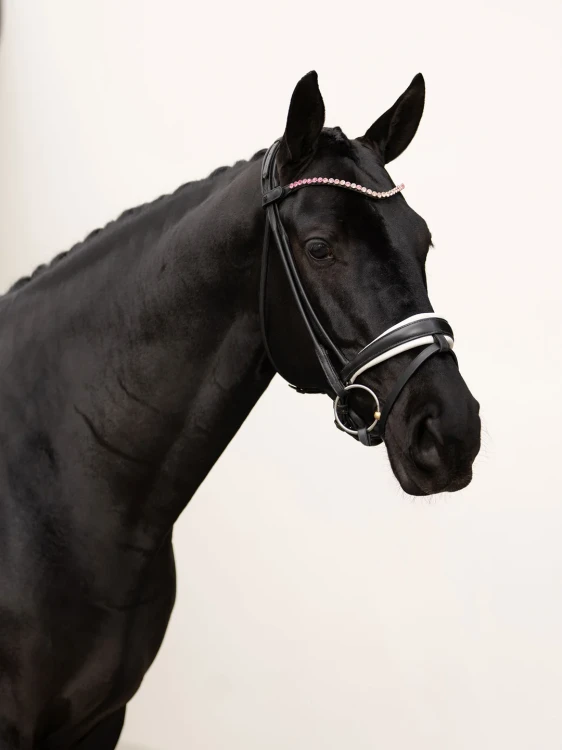 naczółek różowy kryształy equestrian stockholm  (8).webp