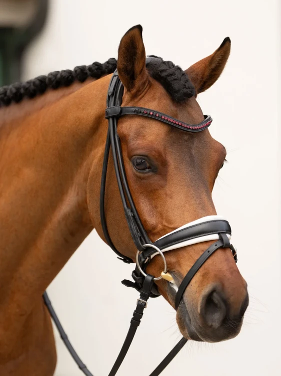 naczółek czerqony merlot equestrian stockholm  (7).webp
