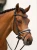 naczółek czerqony merlot equestrian stockholm  (7).webp