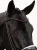 naczółek merlot czerwony equestrian stockholm  (1).webp