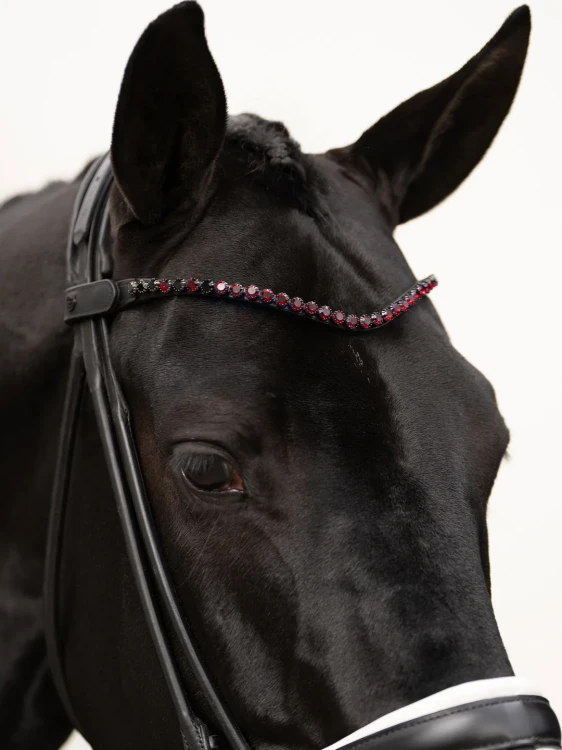 naczółek merlot czerwony equestrian stockholm  (1).webp