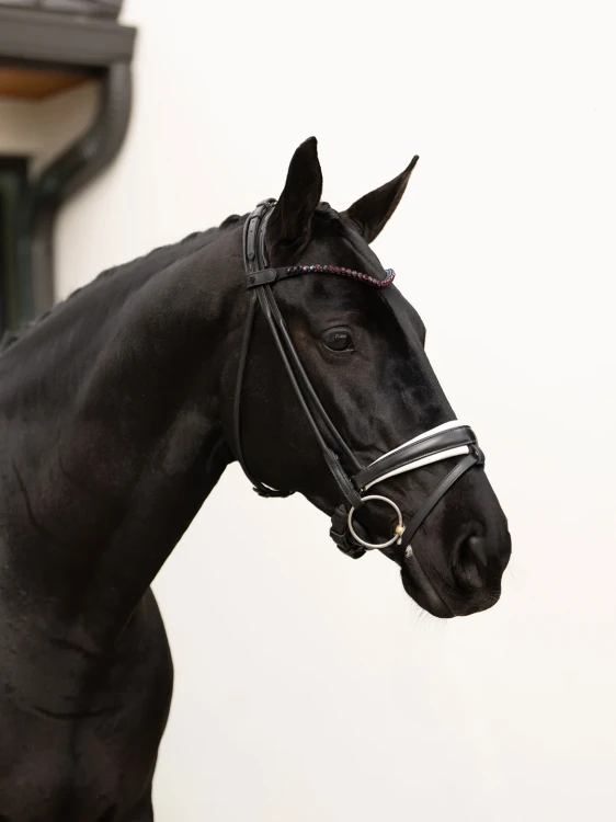 naczółek merlot czerwony equestrian stockholm  (2).webp