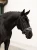 naczółek merlot czerwony equestrian stockholm  (7).webp