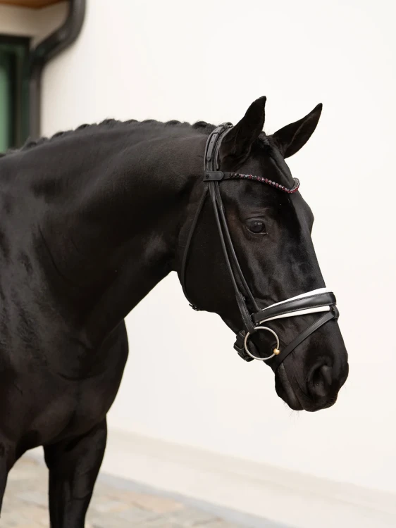 naczółek merlot czerwony equestrian stockholm  (7).webp