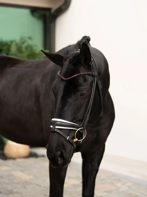 naczółek merlot czerwony equestrian stockholm  (8).webp