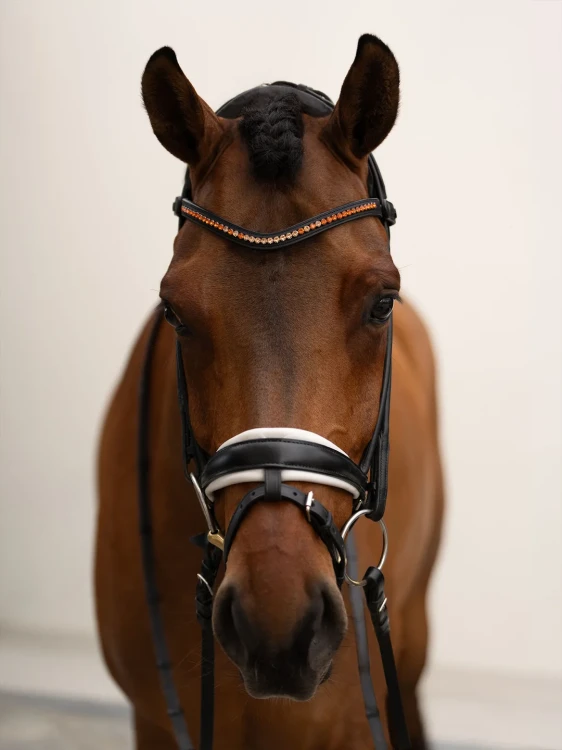 naczółek pomarańczowy equestrian stockholm  (8).webp