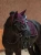 czaprak fioletowy ujeżdżeniowy equestrian stockholm kryształki  (7).webp