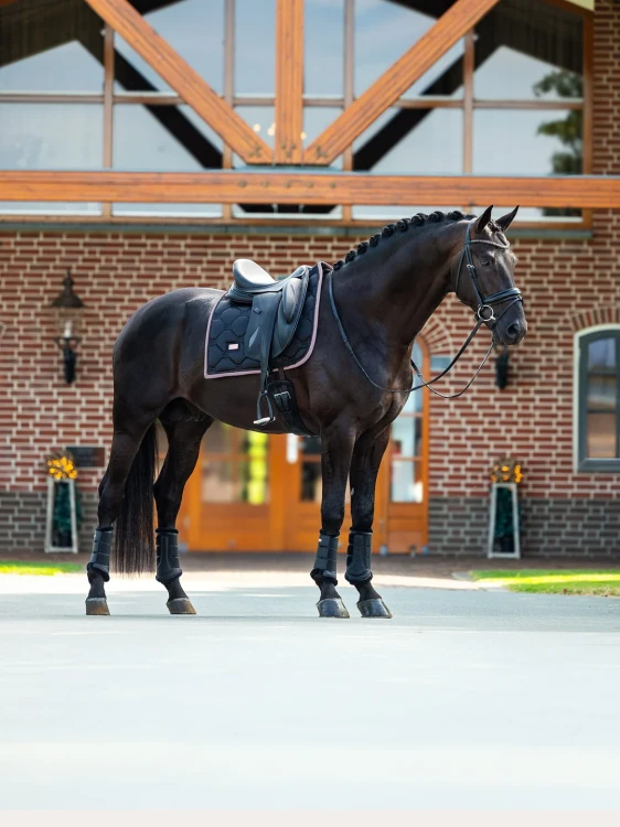 czaprak czarny różowy equestrian stockholm  (7).webp
