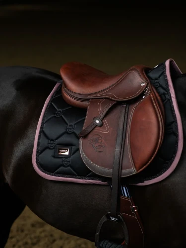 czaprak skokowy czarny różowy equestrian stockholm  (1).webp