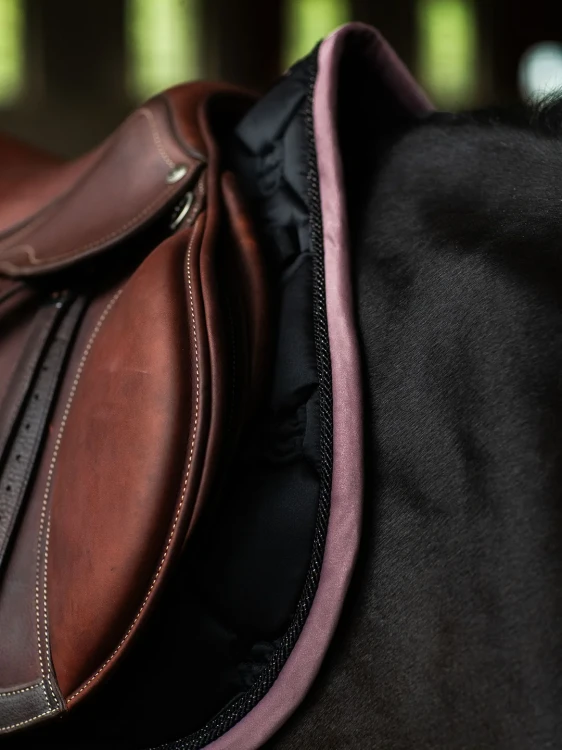 czaprak skokowy czarny różowy equestrian stockholm  (3).webp
